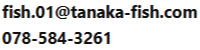 連絡先