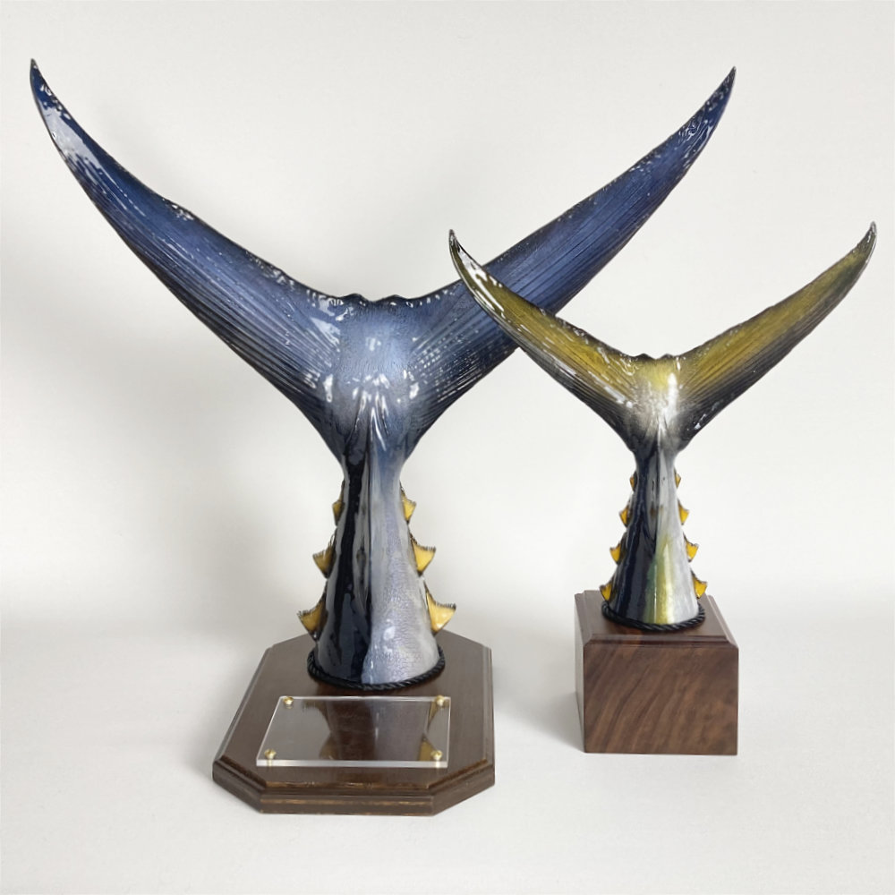 マグロテール剥製　トロフィー