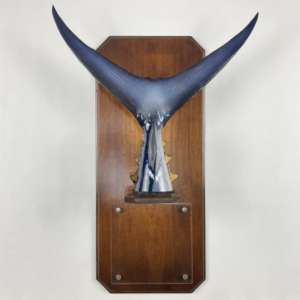 クロマグロ テール剥製 壁掛け